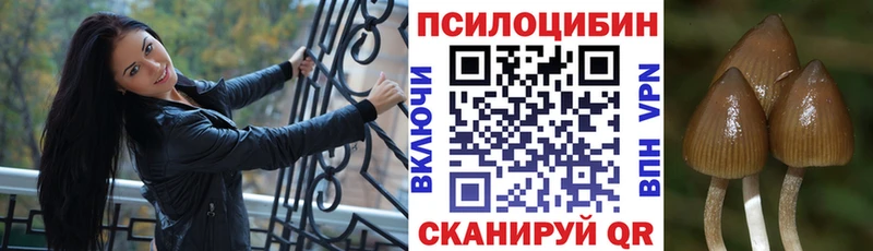 Галлюциногенные грибы Magic Shrooms  Уссурийск 